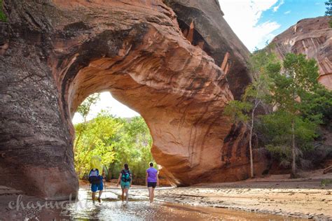 Coyote Gulch | Hiking trip, Utah travel, National parks