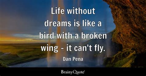 Dan Pena - Life without dreams is like a bird with a...