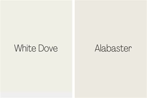 White-Dove-vs-Alabaster