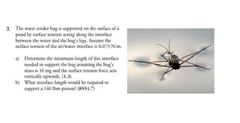 Solved The water strider bug is supported on the surface of | Chegg.com