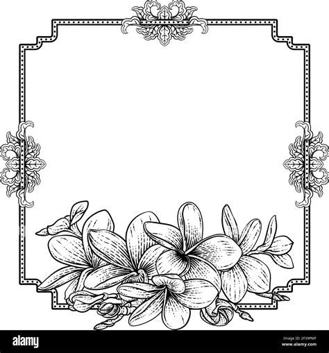 Floral border illustrated Black and White Stock Photos & Images - Alamy