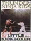 Best Buy: Thunder Ninja Kids: Little Kickboxer DVD 07608773
