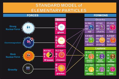 Science Visualized • STANDARD MODEL OF PARTICLE PHYSICS Graphical...