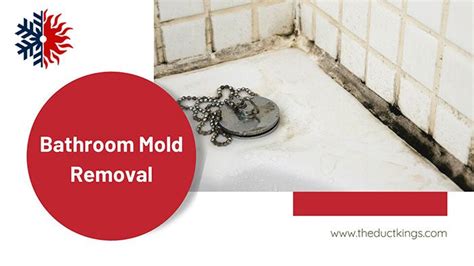 Professional Shower And Bathroom Mold Removal Service