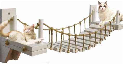 DIY Cat Rope Bridge - Your Projects@OBN