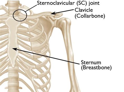 My Pec Minor Lengthening Surgery for Thoracic Outlet Syndrome