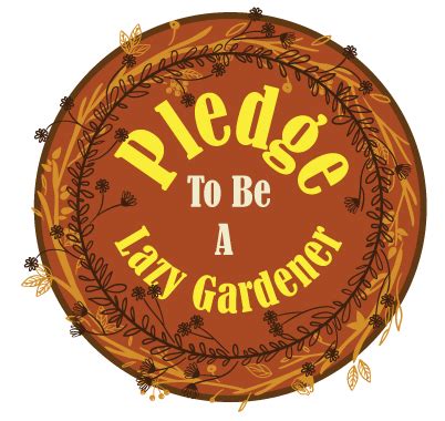 Pledge to be a lazy gardener | Habitats, Messy garden, Fiber rich fruits