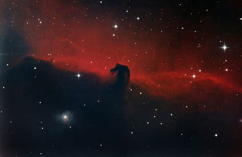 Barnard 33, The Horsehead Nebula - Sky & Telescope - Sky & Telescope