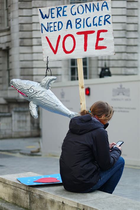 21 Very British Signs From The Massive Protest Against Brexit