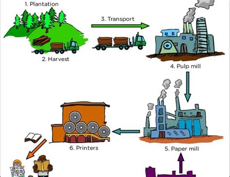 How is Paper Recycled? - Smore Science Magazine