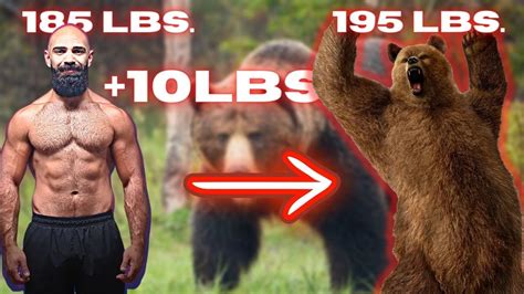 Should You Bulk And Go Bear Mode This Winter? - YouTube