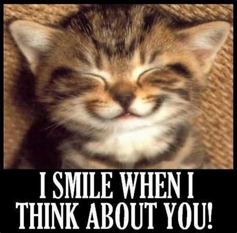 101 Smile Memes to Make Your Day Even Brighter