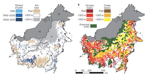 Palm Oil Deforestation Map