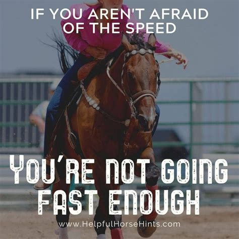 17 Share-Worthy Barrel Racing Quotes | Barrel racing quotes, Horse racing quotes, Racing quotes