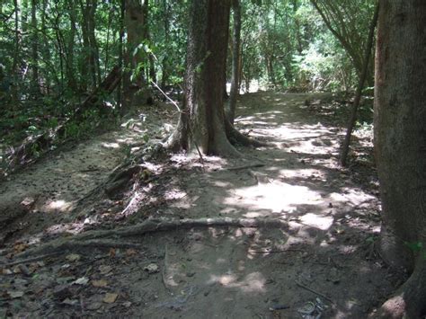 The Trails At Memorial Park Mountain Bike Trail in Houston, Texas ...