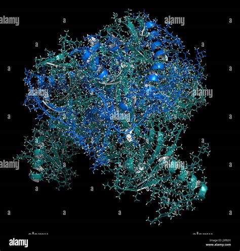 Ebola virus glycoprotein (GP), molecular structure. Occurs as spikes on ...