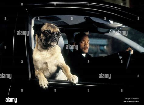 Mib 2 Frank The Pug 2002 High Resolution Stock Photography and Images - Alamy