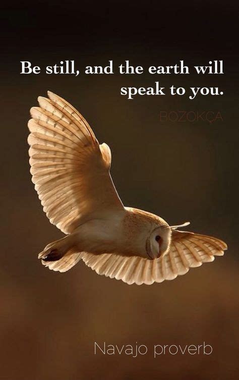 "Be still, and the earth will speak to you." ~Navajo Proverb ..* | Owl ...