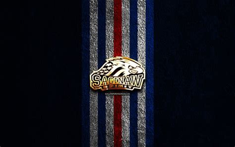 Download Saginaw Spirit golden logo, 4k, blue stone background, OHL ...