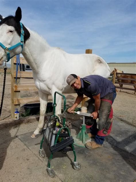 Farrier in Colorado Springs, Colorado (El Paso County)