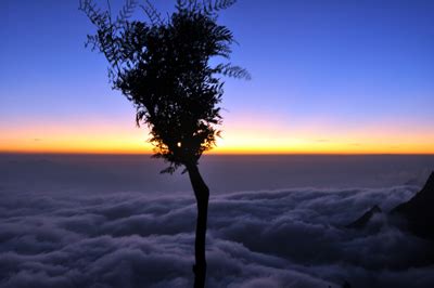 Kolukkumalai TrampTraveller