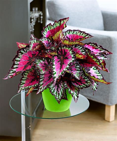 25 Beautiful Artificial Indoor Plants Ideas, That Will Make Your Interior House Awesome - Decor ...