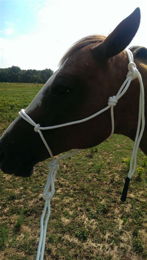 Rope Halter With Fiador | Rope halter, Horse riding tips, Horse halters