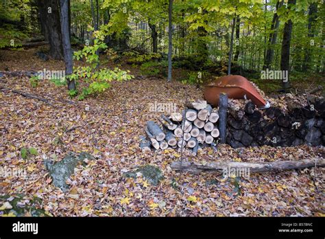 back yard fall foliage New England Killington Vermont Stock Photo - Alamy