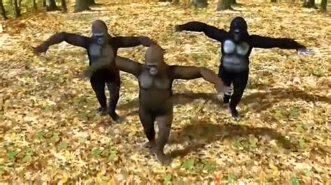 Monkey dance // funny dance - YouTube