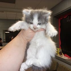 Miami County Animal Shelter in Troy, Ohio