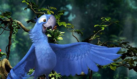 Blu from Rio 2 , Rio Birds HD wallpaper | Pxfuel