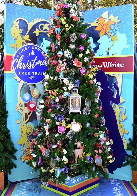 Snow White Christmas tree Photograph by David Lee Thompson - Fine Art ...