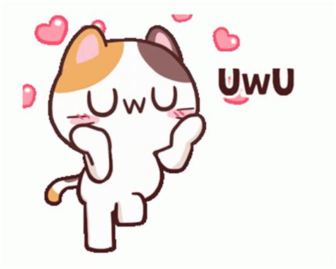 Cute Cat Sticker - Cute Cat Uwu - GIF ਨੂੰ ਲੱਭੋ ਅਤੇ ਸਾਂਝਾ ਕਰੋ