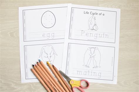 Life Cycle Learning Activity Packs | The Pinay Homeschooler