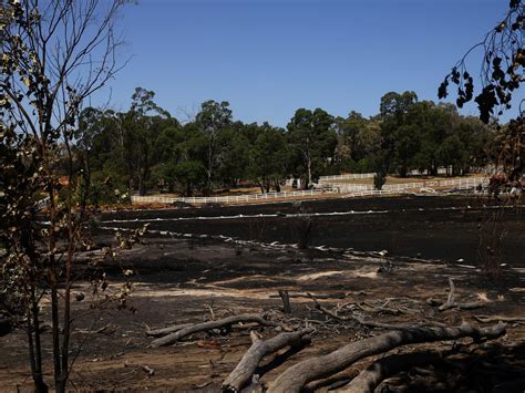 Perth Hills bushfire: Catastrophe declared however welcome rain in sight | news.com.au ...