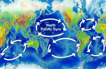 Great Pacific garbage patch - Wikipedia