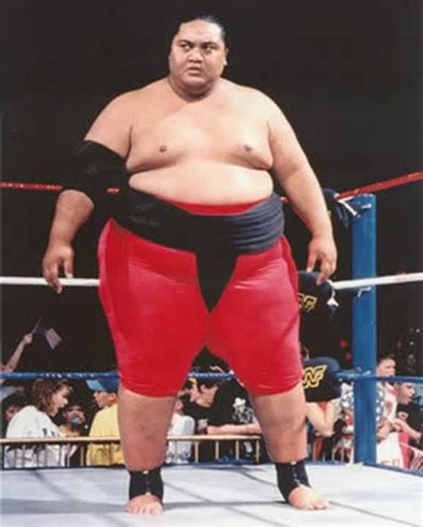 Yokozuna | Wrestling superstars, Wrestling wwe, Professional wrestling