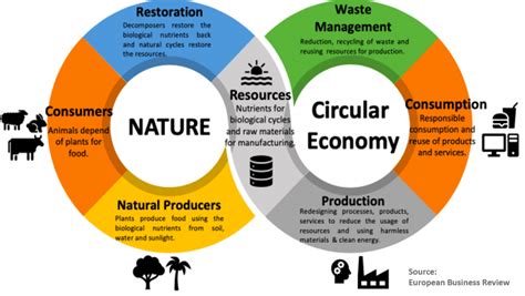 Circular Economy Series- Part 1: Why Circular Economies? - Don't Waste Services