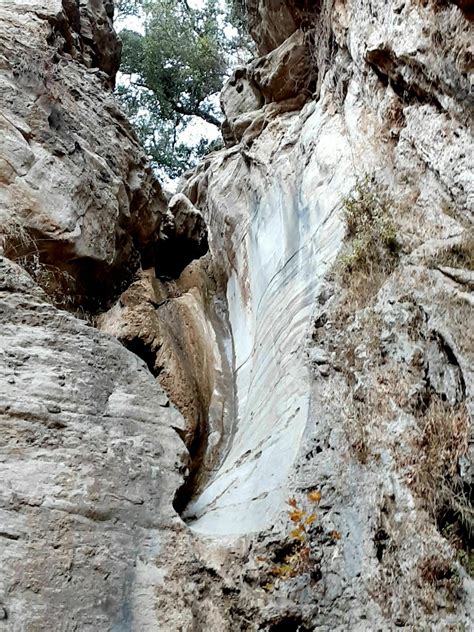 Photos of Black Star Canyon Falls Trail - California | AllTrails