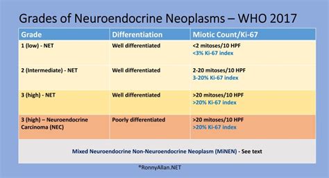 Neuroendocrine Neoplasms – Grade and Stage (incorporating WHO 2017 ...