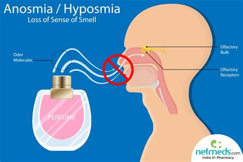 Anosmia: Causes, Diagnosis And Treatment | Netmeds