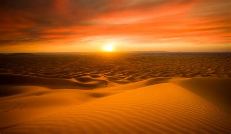 Sand dunes, Sahara desert, Sunset, 5K, horizon, desert, sahara, 5K HD Wallpaper