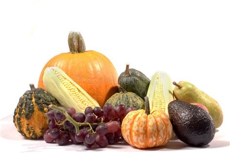 Thanksgiving cornucopia stock photo. Image of orange, eating - 2995400