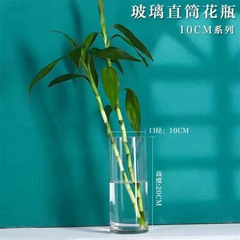 Extra Large Floor Vase Decoration Living Room High-Grade Crystal Glass Vase Home Lucky Bamboo ...