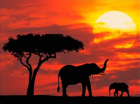 African sunset, Scenery, Kenya safari