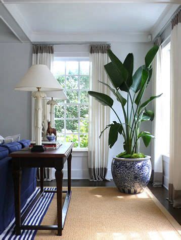 How To Decorate A Corner With Plants - Leadersrooms