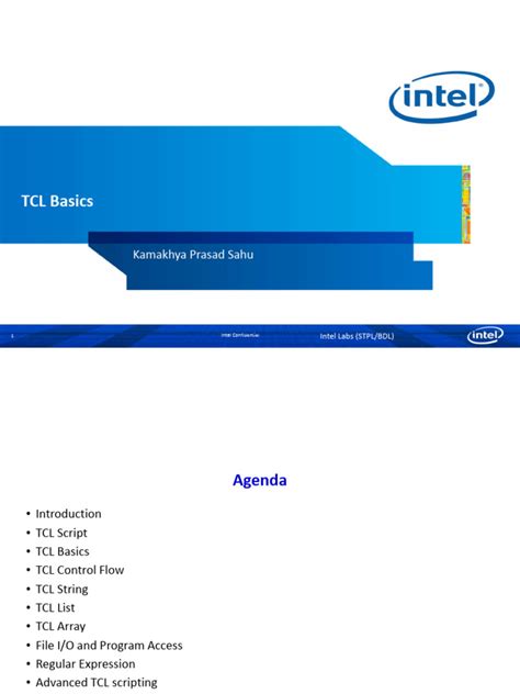 TCL Basics | PDF