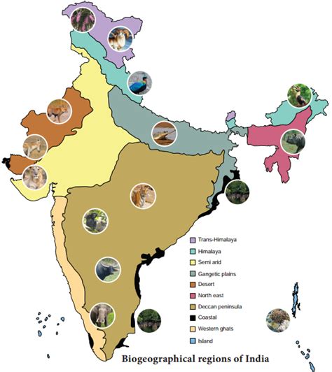 Geographic Regions Of India