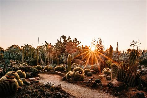 Cactus Country – AUSTRALIA’S LARGEST CACTUS FARM