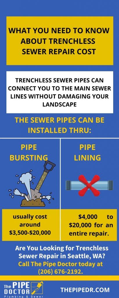 Here's What You Need to Know About Trenchless Sewer Repair Cost